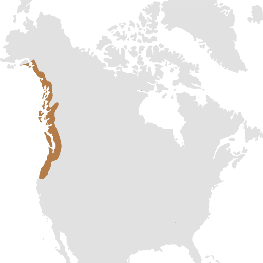 northwest-region