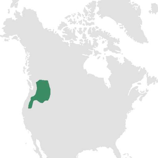 plateau-region