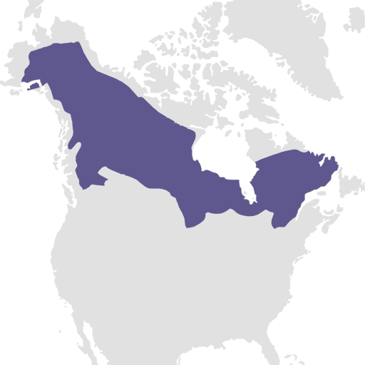 subarctic-region